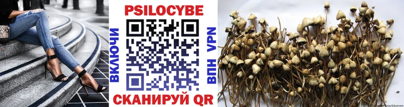 blacksprut ONION  Урюпинск  Псилоцибиновые грибы Psilocybine cubensis 